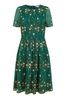 Buy Yumi Green Embroidered Floral Skater Dress From Next Ireland