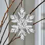 Winter Frost