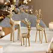 Festive Elegance