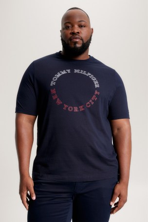 Buy Tommy Hilfiger Blue Big & Tall Round Logo T-Shirt from Next USA