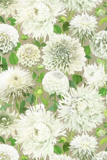 Harlequin White Dahlia Wallpaper