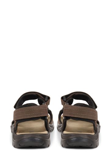 Buy Pavers Adjustable Brown Leather Walking Sandals from Next