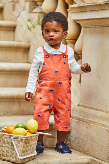 Next dinosaur dungarees best sale