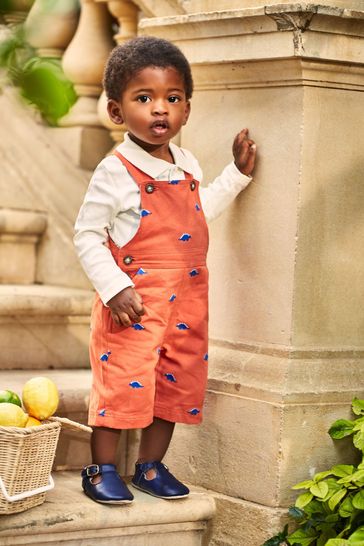 Next deals dinosaur dungarees