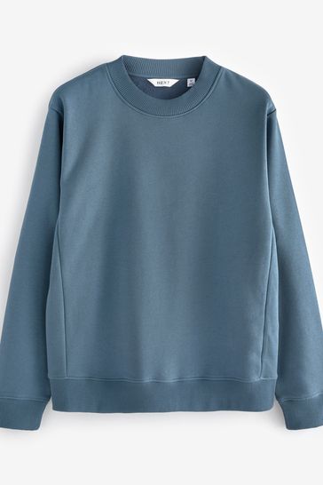 Buy Blue Regular Fit Crew Sweatshirt from Next Hungary