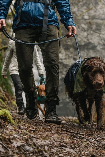 Buy online dog lead