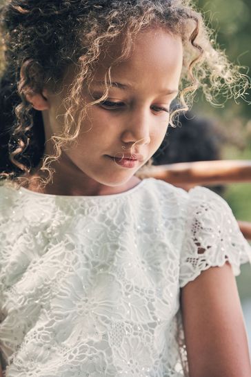 Lace clearance bodice dress