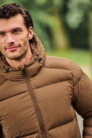 Next down 2025 jacket