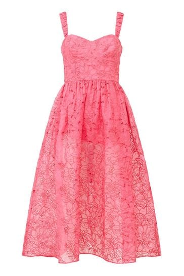 Next coral lace dress hot sale