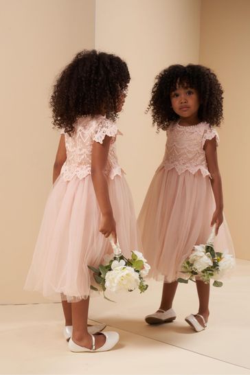 Buy Angel Rocket Pink Lucy Lace Dress from Next Luxembourg