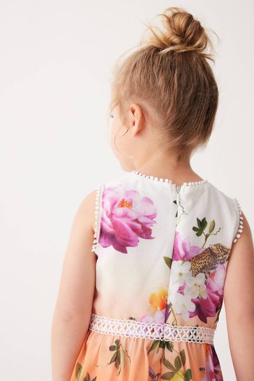 Ted baker ombre dress hot sale