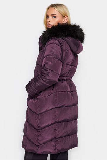 Next petite sale padded coats