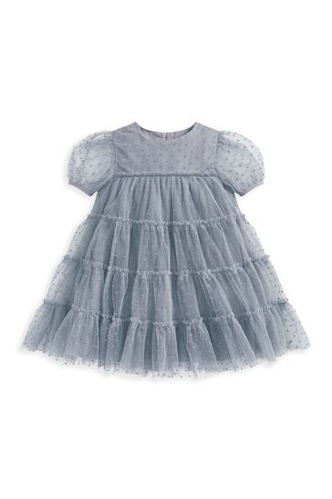 Buy Mamas Papas Blue Flock Spot Mesh Dress from Next Denmark