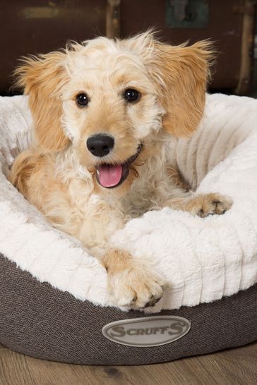 scruffs dog bed covers