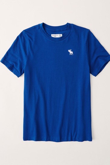 Abercrombie & Fitch Basic Short-Sleeve T-Shirt
