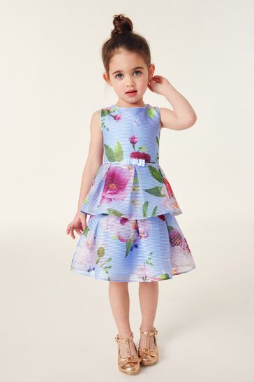 Next ted baker dress store