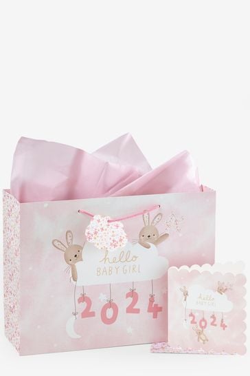 Buy Girl Born in 2024 Gift Bag and Card Set from Next Netherlands