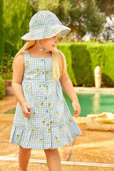 Buy JoJo Maman Bebe Duck Egg Gingham Lemon Embroidered Frill Dress from Next Denmark