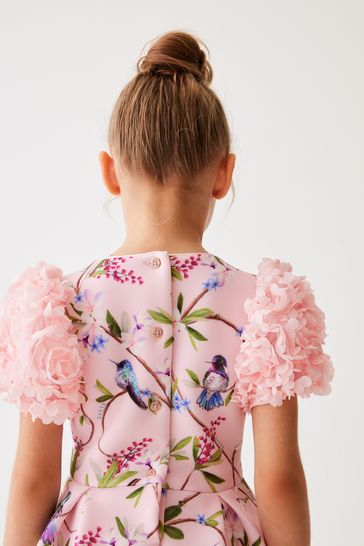 Ted baker pink ruffle sales dress