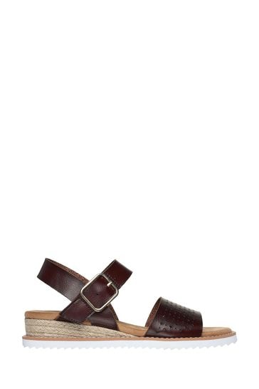 Women's brown skechers hotsell