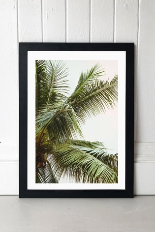 Black Palm Trees by Honeymoon Hotel Framed Print