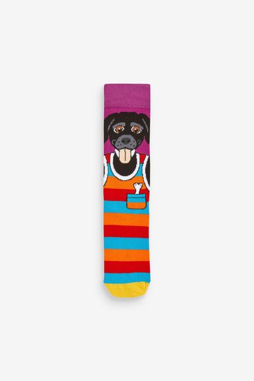 Buy United Odd Socks Multi Go Mutts Dog Go Mutts Socks from Next