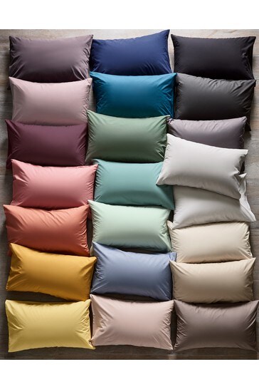 Buy Cotton Rich Sheet from Next USA