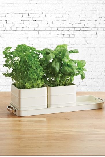 Cream Herb Pots with Tray