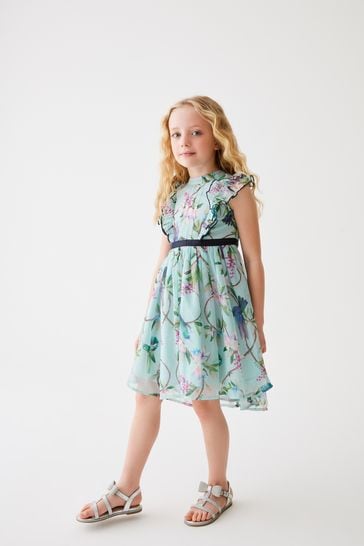 Ted baker top mint maxi dress