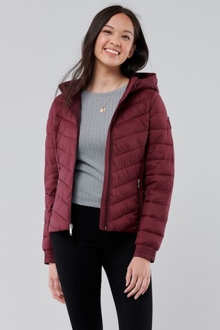 burgundy hollister jacket