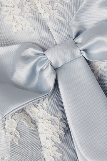Buy Monsoon Pale Blue Valeria Lace Dress from Next Luxembourg