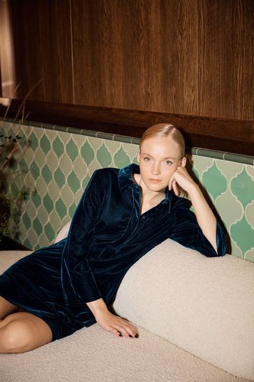 Hobbs blue velvet dress hot sale