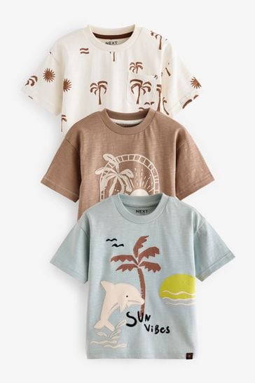 Blue/Brown Short Sleeve Character T-Shirts 3 Pack (3mths-7yrs)