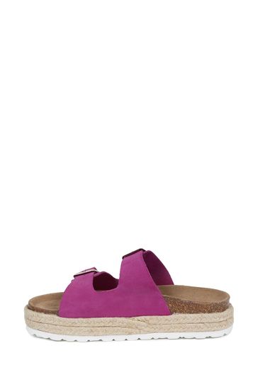 Buy Celtic Co. Pink Double Buckle Sandals from Next Austria