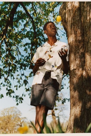 501 denim shorts 2025