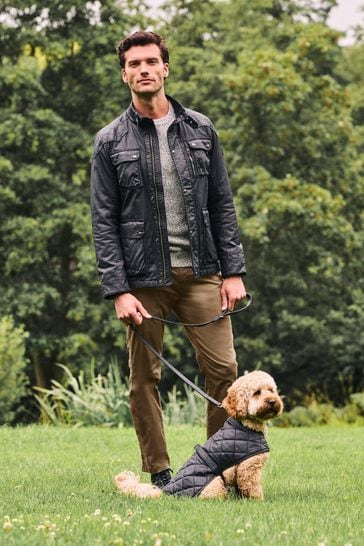 Green Waxed Canvas Dog Coat