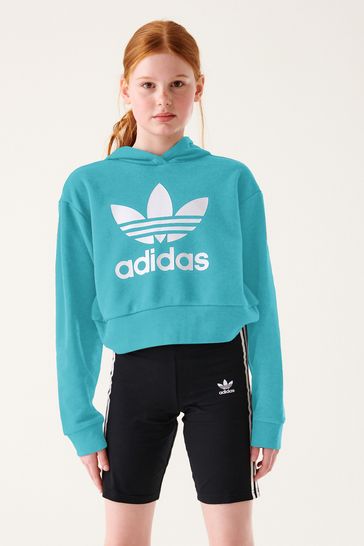 Buy adidas Originals Blue Adicolor Cropped Hoodie from Next Ireland