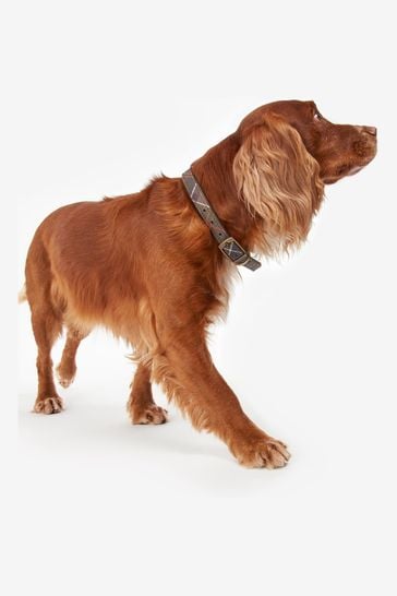 Barbour dog collar deals