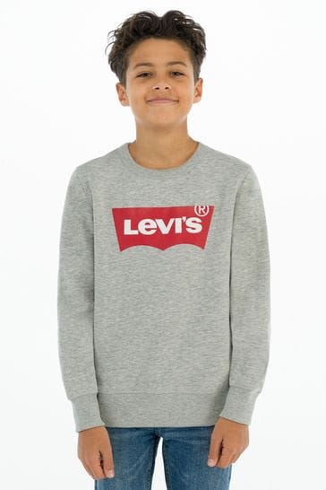 Kids Grey Batwing Logo Sweater 