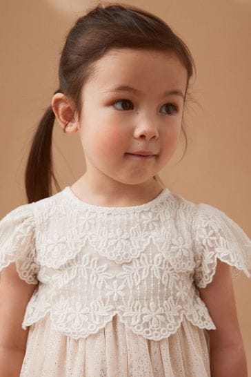 Sophisticated Lace Mesh Dress for the Office