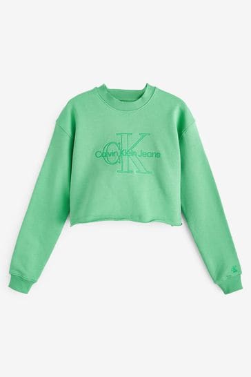 Buy Calvin Klein Jeans Green Embroidered Monolog Jumper from Next