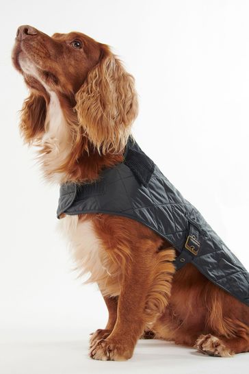 Buy Barbour® Black Quilted Dog Coat 