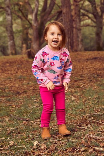 Buy JoJo Maman Bebe Pink Girls Dino Sweatshirt Leggings Set from Next Denmark