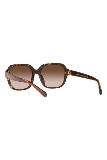 COACH Brown Sunglasses