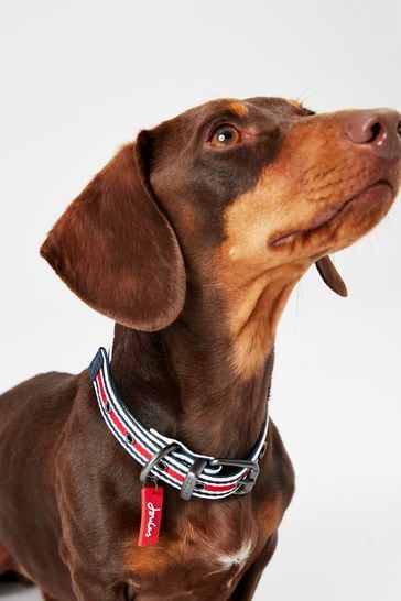 Joules top dog collar