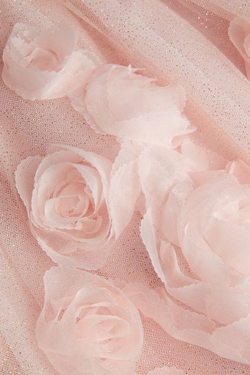 Monsoon Baby Pink Arabella 3D Roses Dress