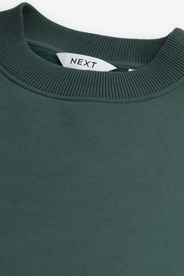 Buy Green Regular Fit Crew Sweatshirt from Next Australia