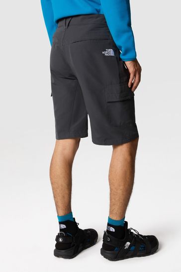 Buy The North Face Grey Horizon Shorts from Next Poland