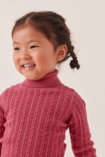 Buy Raspberry Pink Roll Neck Jumper 3mths 7yrs from Next Luxembourg