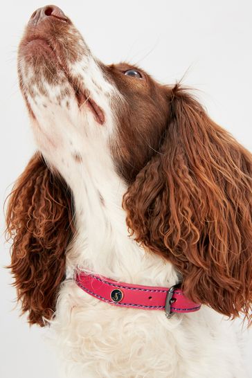 Joules dog lead and collar shop